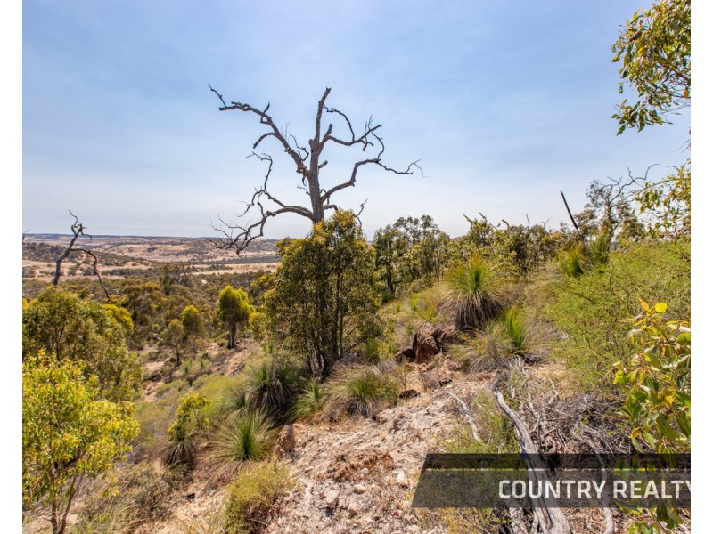 10 Sesselis Road, Toodyay WA 6566