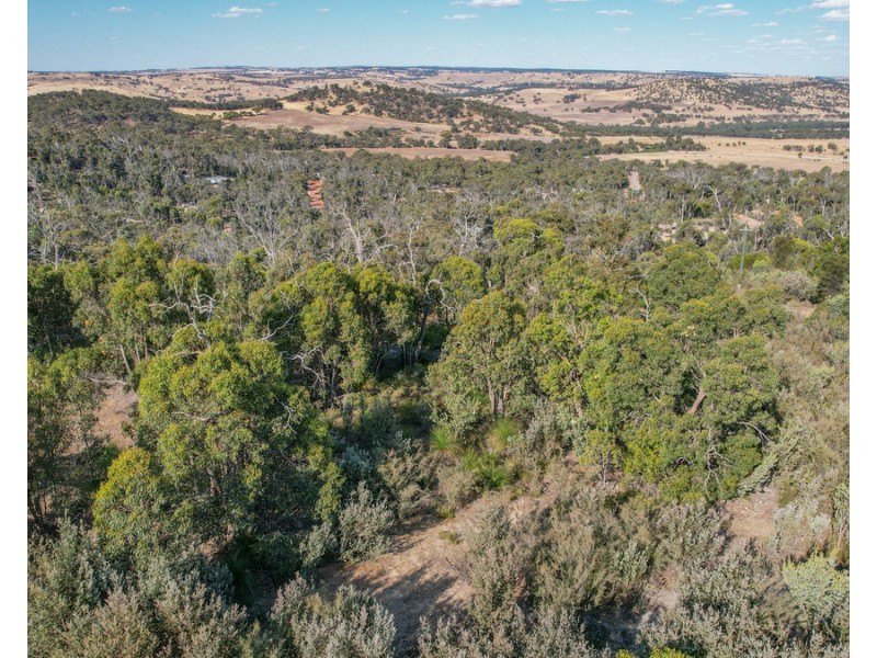 10 Sesselis Road, Toodyay WA 6566
