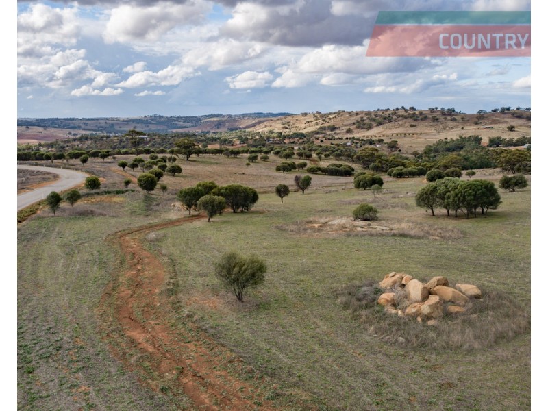 75 Nockdominie Road, Dumbarton, Toodyay WA 6566