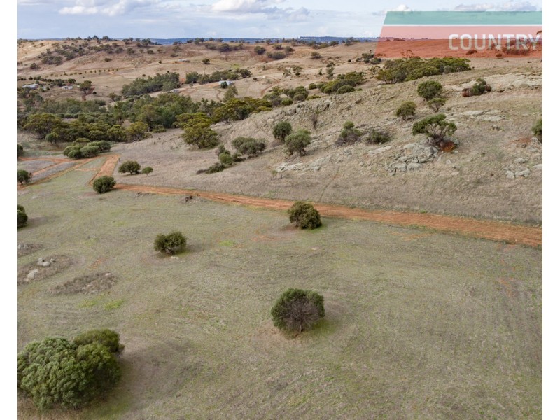 75 Nockdominie Road, Dumbarton, Toodyay WA 6566