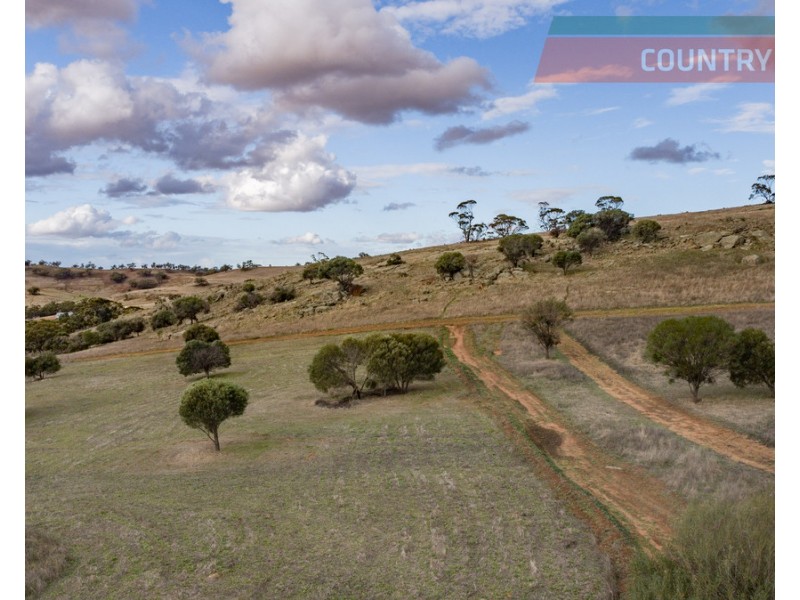75 Nockdominie Road, Dumbarton, Toodyay WA 6566