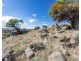 75 Nockdominie Road, Dumbarton, Toodyay WA 6566