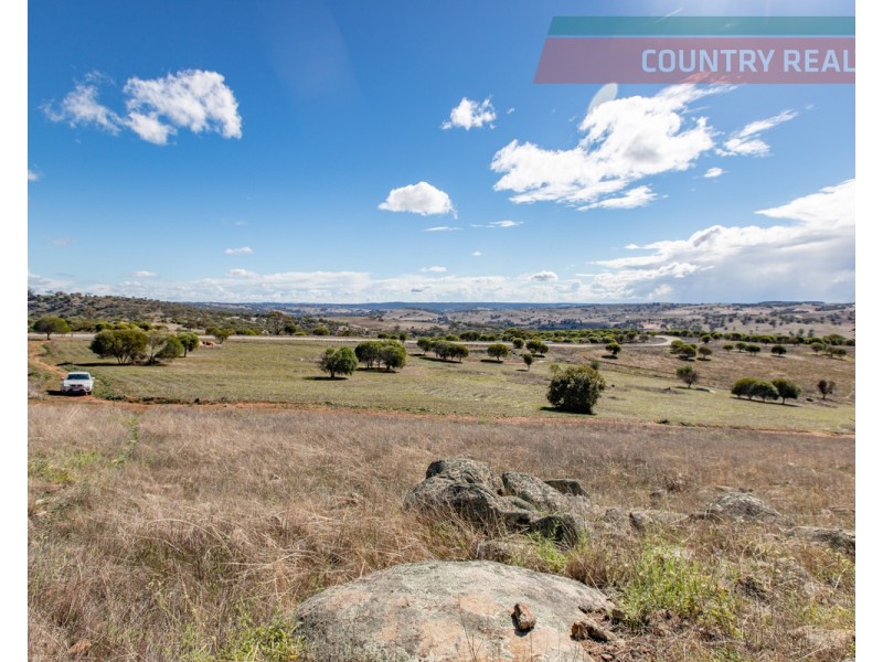 75 Nockdominie Road, Dumbarton, Toodyay WA 6566