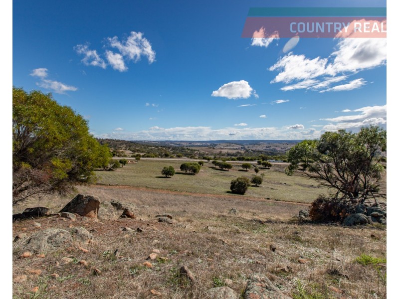 75 Nockdominie Road, Dumbarton, Toodyay WA 6566