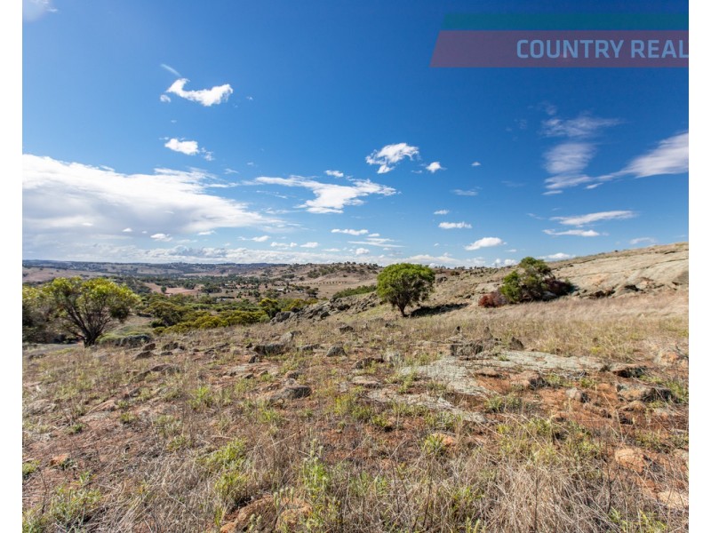 75 Nockdominie Road, Dumbarton, Toodyay WA 6566