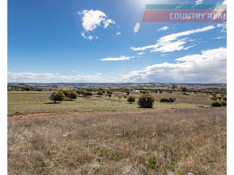 75 Nockdominie Road, Dumbarton, Toodyay WA 6566