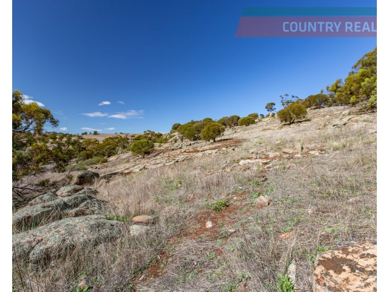 75 Nockdominie Road, Dumbarton, Toodyay WA 6566
