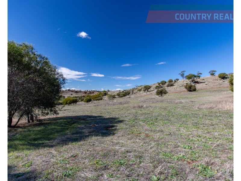75 Nockdominie Road, Dumbarton, Toodyay WA 6566