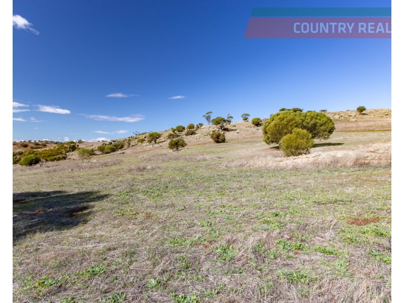 75 Nockdominie Road, Dumbarton, Toodyay WA 6566