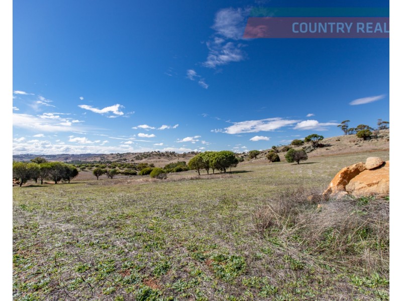 75 Nockdominie Road, Dumbarton, Toodyay WA 6566