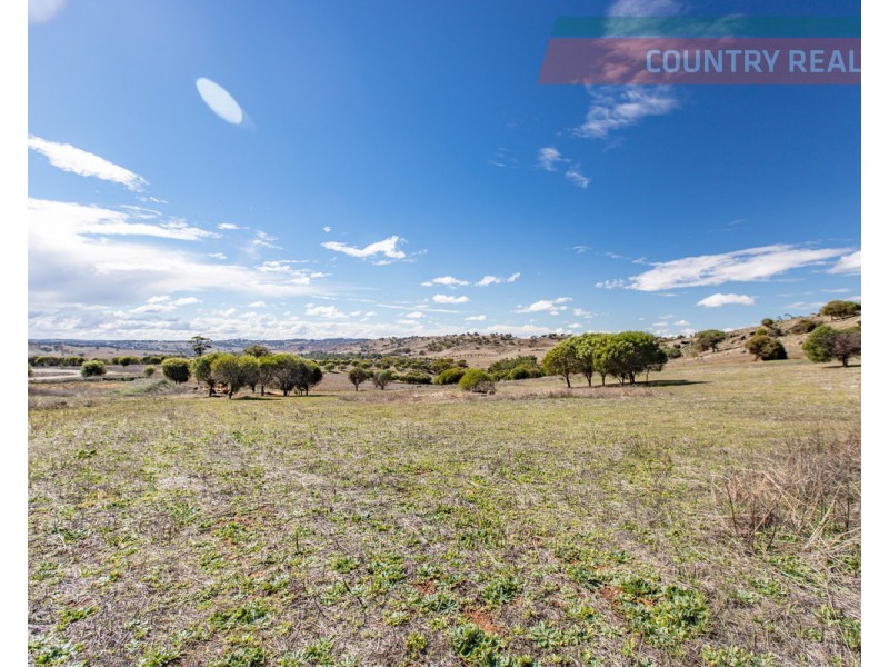 75 Nockdominie Road, Dumbarton, Toodyay WA 6566
