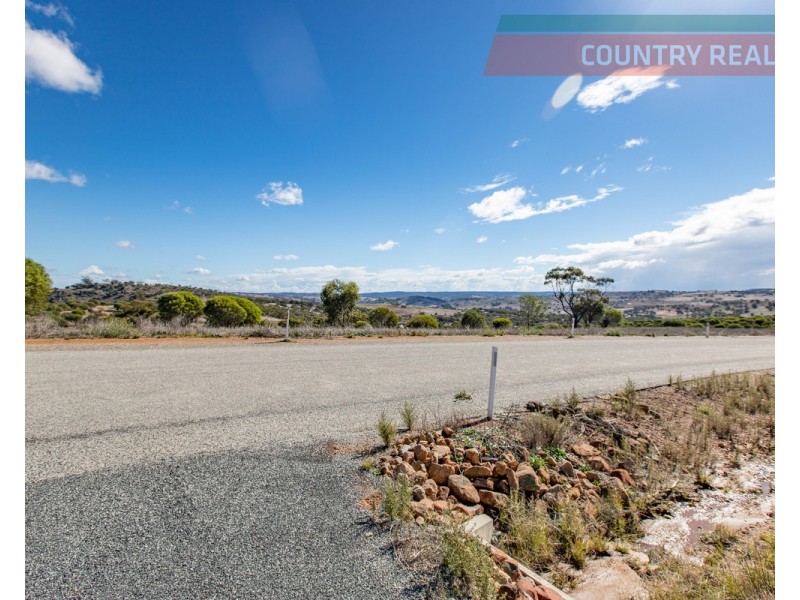 75 Nockdominie Road, Dumbarton, Toodyay WA 6566