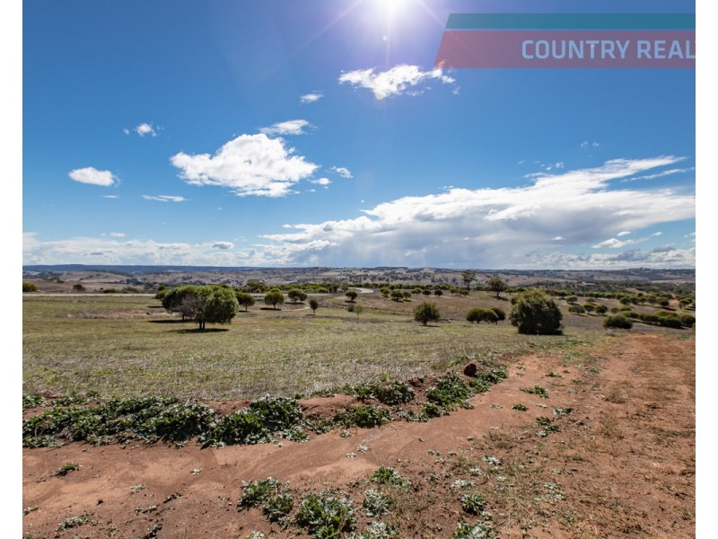 75 Nockdominie Road, Dumbarton, Toodyay WA 6566