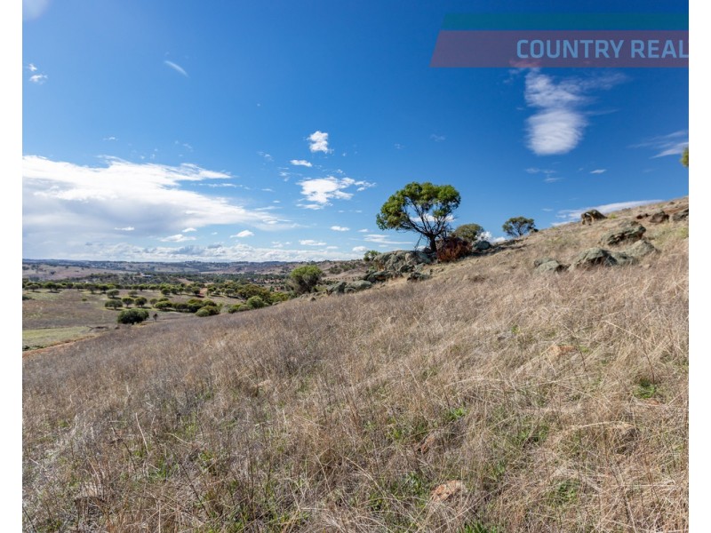 75 Nockdominie Road, Dumbarton, Toodyay WA 6566