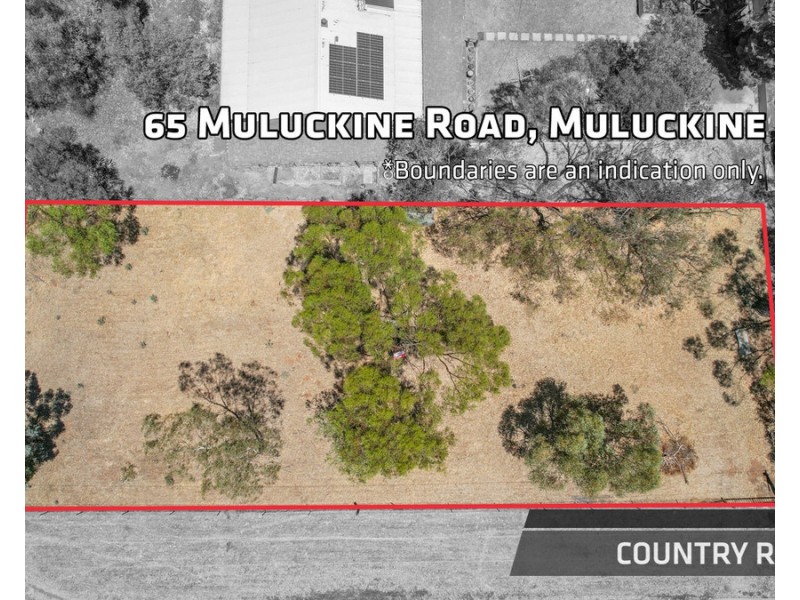 65 Muluckine Road, Northam WA 6401