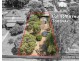 10 Arthur Street, Toodyay WA 6566