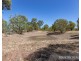 158 Church Gully Road, Toodyay WA 6566