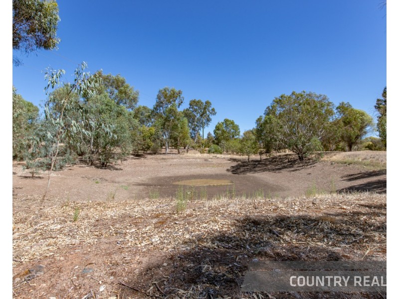 158 Church Gully Road, Toodyay WA 6566
