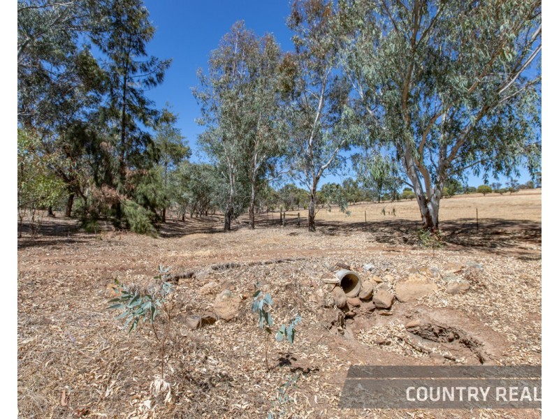 158 Church Gully Road, Toodyay WA 6566