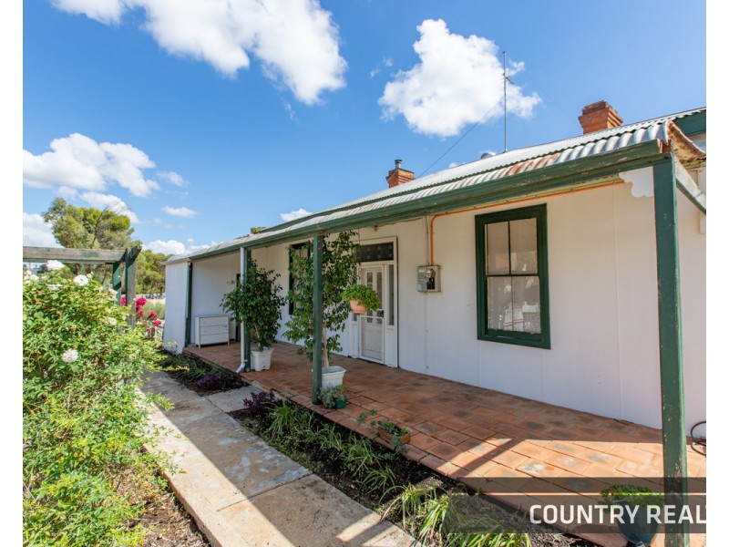 62 Lockyer Avenue, Northam WA 6401