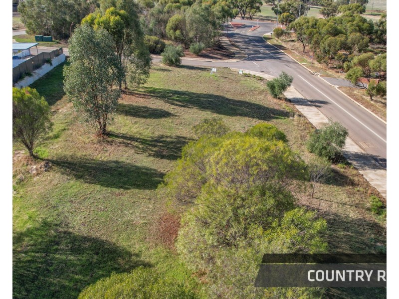 8 Drummond Street, Toodyay WA 6566