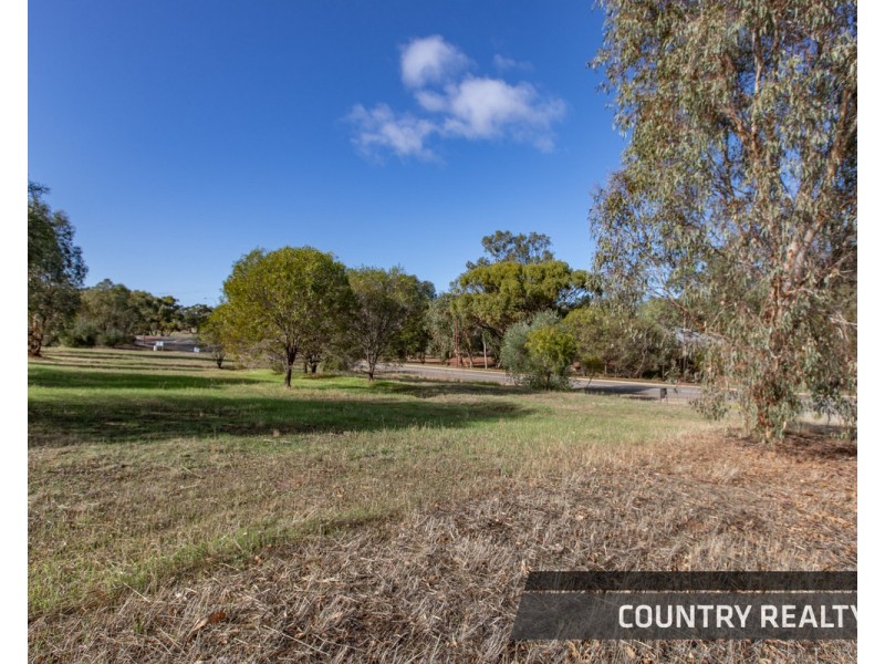 8 Drummond Street, Toodyay WA 6566