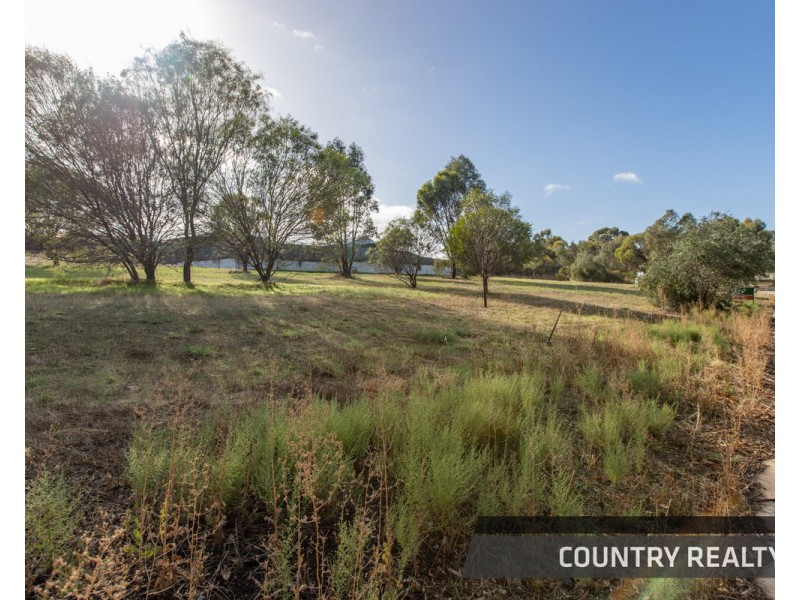 8 Drummond Street, Toodyay WA 6566
