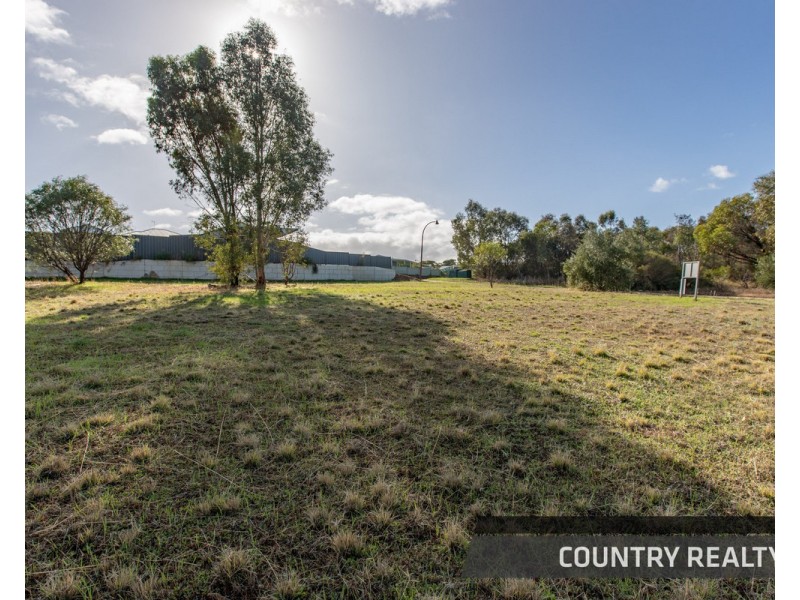 8 Drummond Street, Toodyay WA 6566