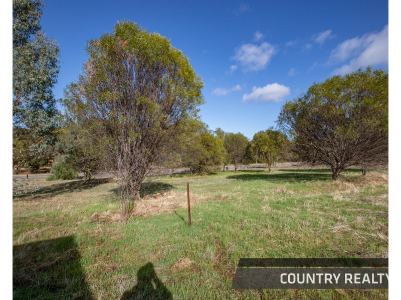8 Drummond Street, Toodyay WA 6566