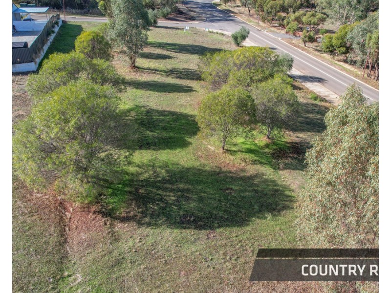 8 Drummond Street, Toodyay WA 6566