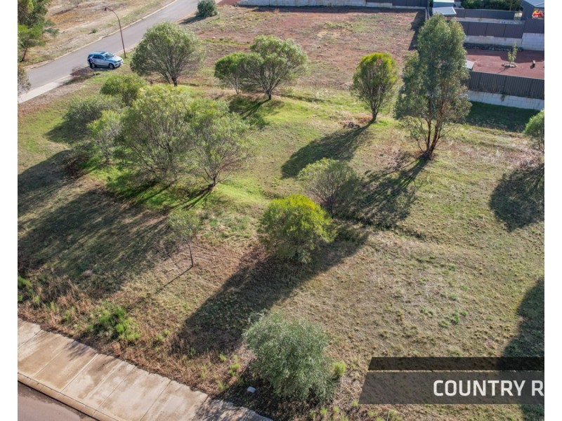 10 Drummond Street, Toodyay WA 6566