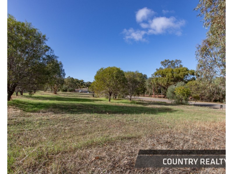 10 Drummond Street, Toodyay WA 6566