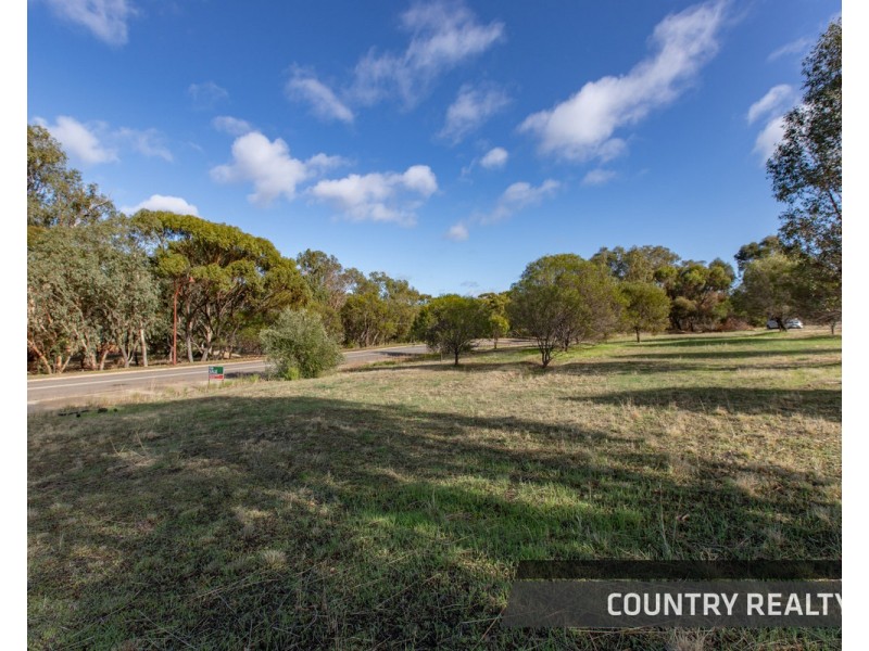 10 Drummond Street, Toodyay WA 6566