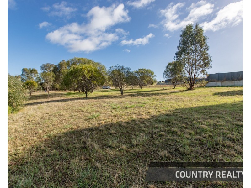12 Drummond Street, Toodyay WA 6566