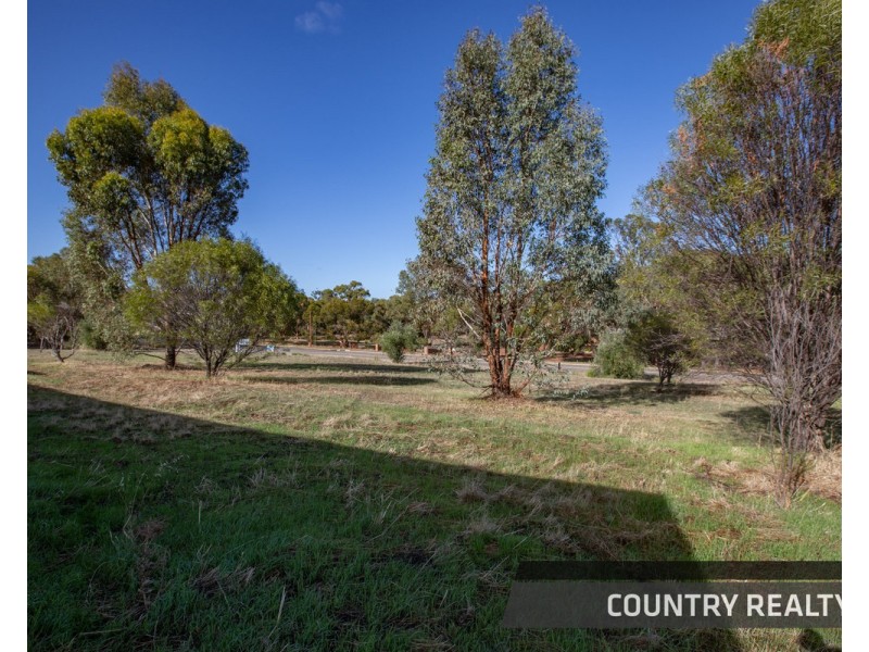 12 Drummond Street, Toodyay WA 6566