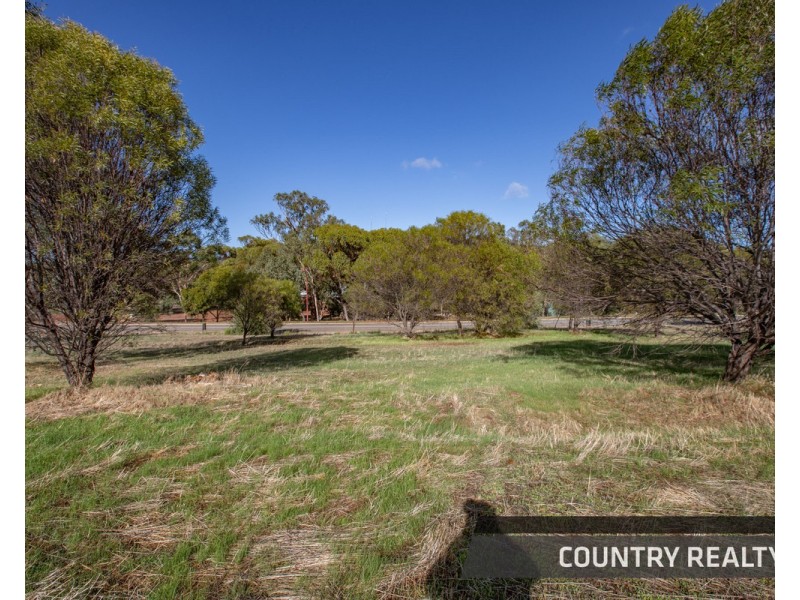 12 Drummond Street, Toodyay WA 6566