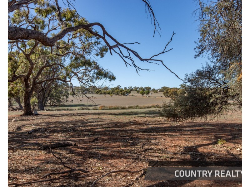 25 Walkey Close, Toodyay WA 6566