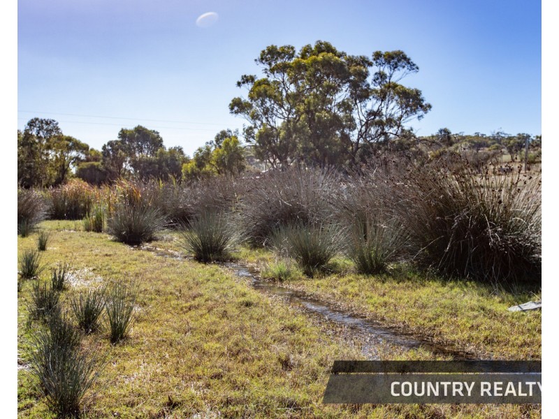 25 Walkey Close, Toodyay WA 6566