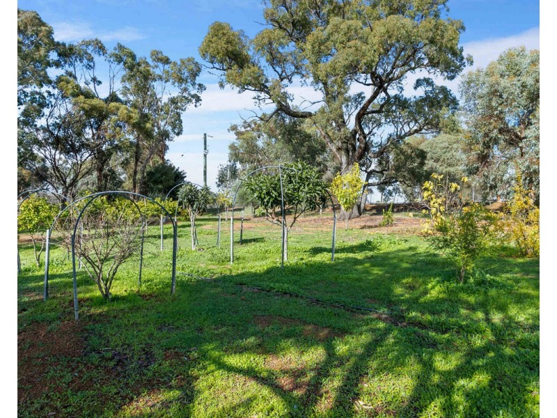 181 Bodeguero Way, Wundowie WA 6560