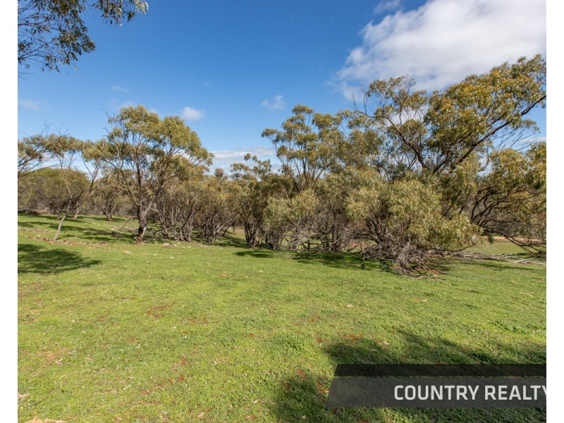 210 Coondle Drive, Toodyay WA 6566