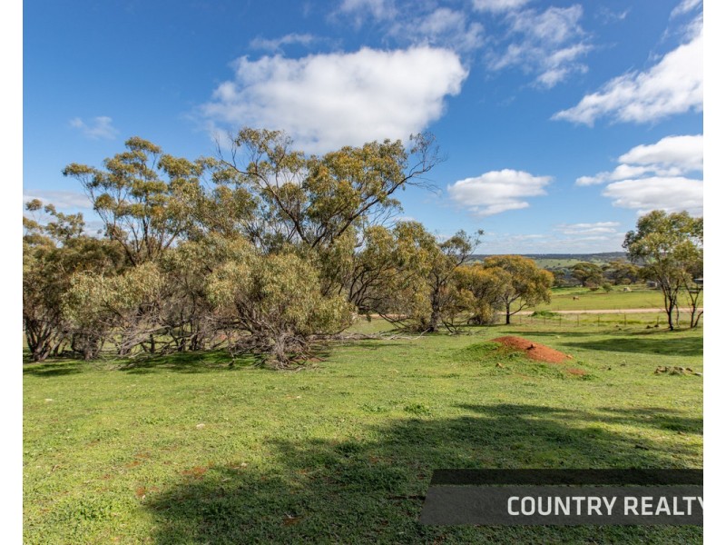 210 Coondle Drive, Toodyay WA 6566