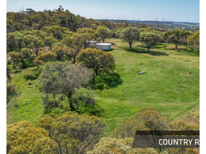 79 Horseshoe Road, Toodyay WA 6566