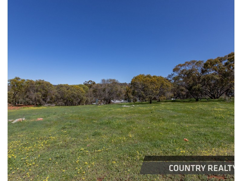 79 Horseshoe Road, Toodyay WA 6566