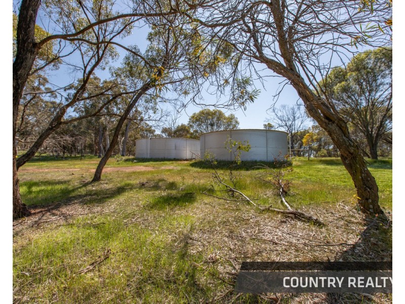 79 Horseshoe Road, Toodyay WA 6566