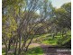 79 Horseshoe Road, Toodyay WA 6566
