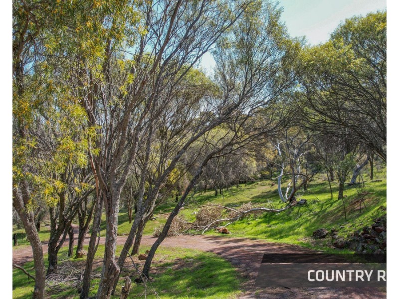 79 Horseshoe Road, Toodyay WA 6566