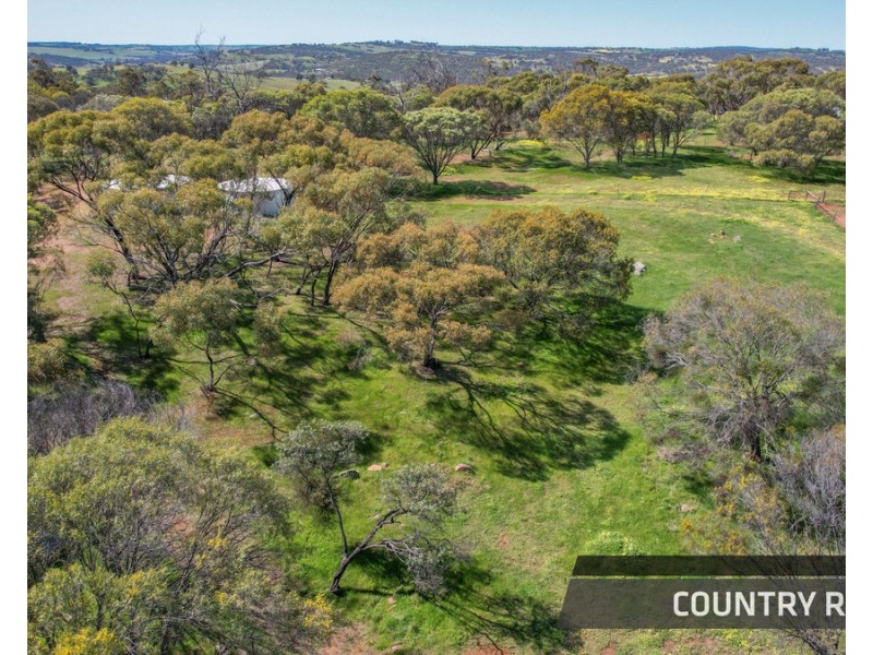 79 Horseshoe Road, Toodyay WA 6566