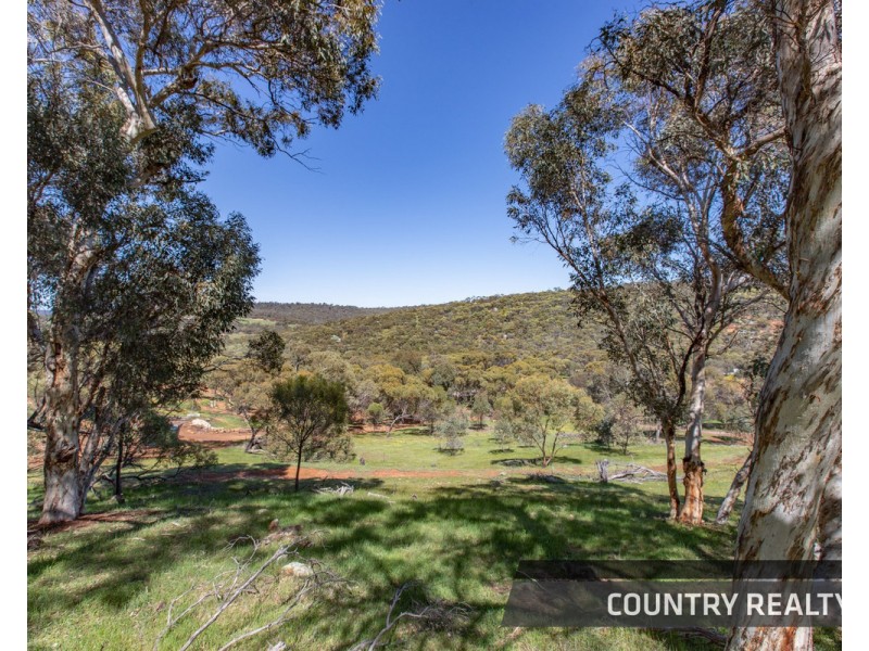 79 Horseshoe Road, Toodyay WA 6566