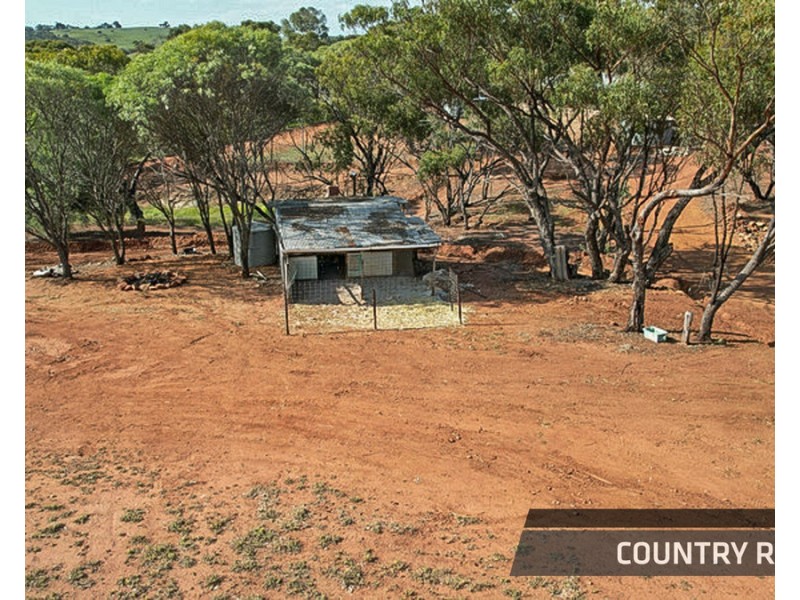 14 Ferguson Road, Toodyay WA 6566