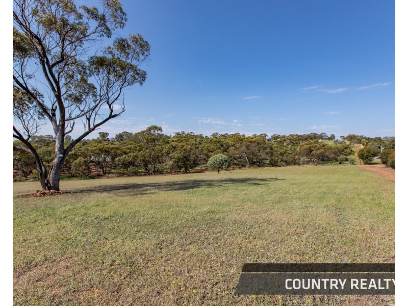 14 Ferguson Road, Toodyay WA 6566